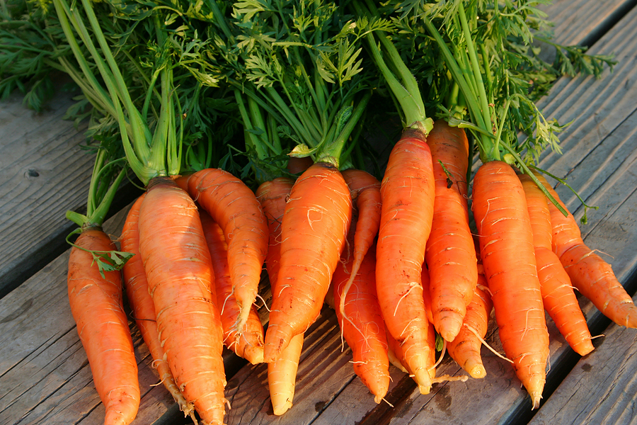 8 Health Benefits Of Carrots That You Didn't Know, 8 Health Benefits Of Carrots That You Didn&#8217;t Know