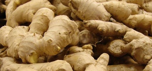 10 Interesting Health Benefits Of Ginger That You Never Knew, 10 Interesting Health Benefits Of Ginger That You Never Knew