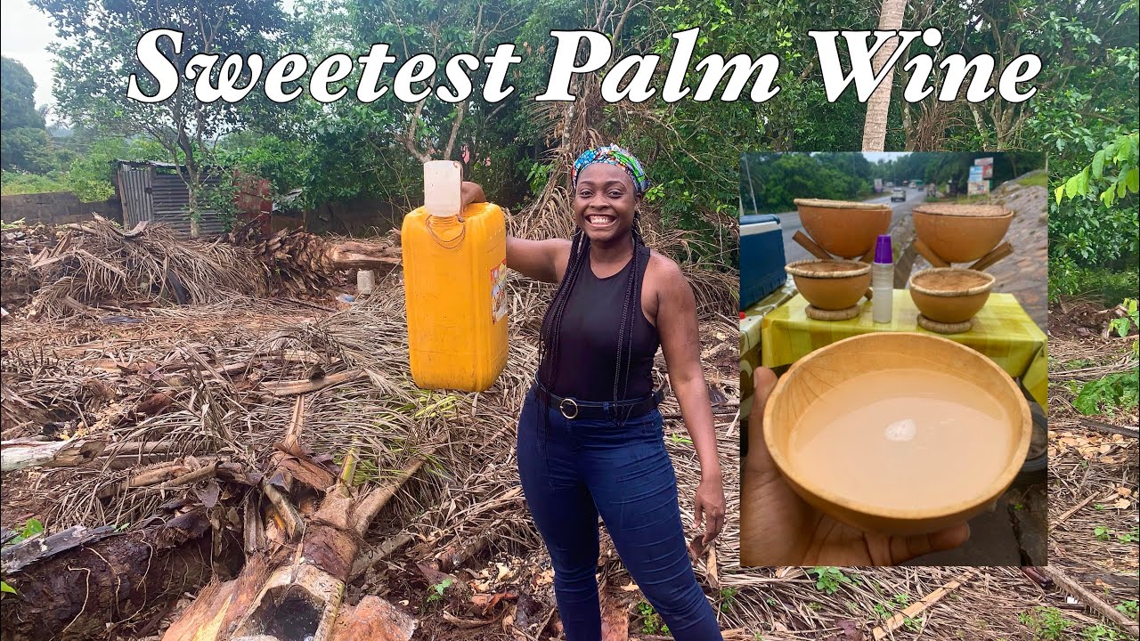8 Health Benefits Of Palm Wine That You Didn't Know, 8 Health Benefits Of Palm Wine That You Didn&#8217;t Know