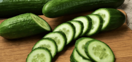 Some Side Effects Of Associated With Eating Cucumber That You Didn't Know, Some Side Effects Of Associated With Eating Cucumber That You Didn&#8217;t Know