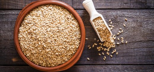 5 Health Benefits of Flaxseeds That You didn't Know —The Small But Mighty Superfood, 5 Health Benefits of Flaxseeds That You didn&#8217;t Know —The Small But Mighty Superfood